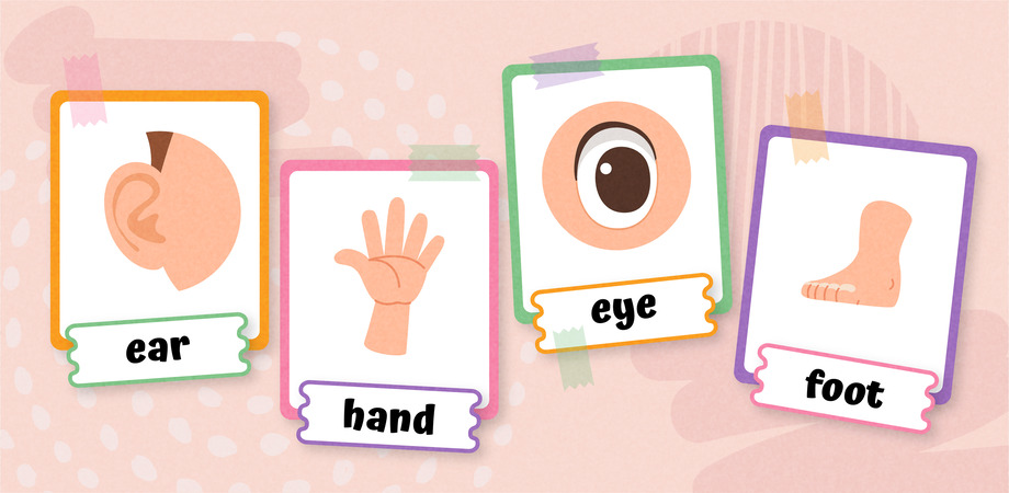 15 Body Parts Activities for Preschoolers that Encourage Playful Learning